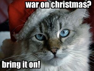 xmas-war-cat_0
