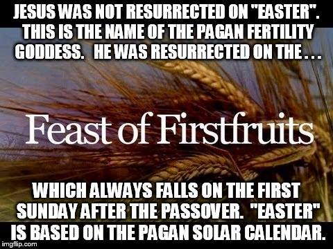 1798394_10205099198073710_3704388097605408261_n