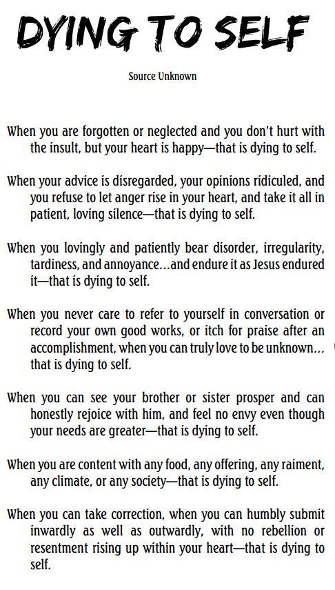 14225467_1137308009662455_5285748393586761006_n