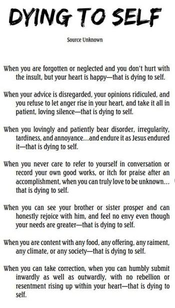 14225467_1137308009662455_5285748393586761006_n