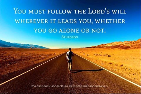 14947646_1807550582817733_5690145860934218284_n