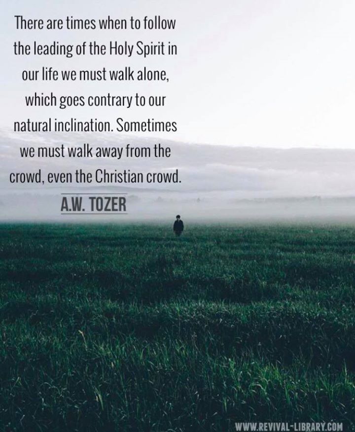 21317744_1421342474648502_5484469334321665401_n