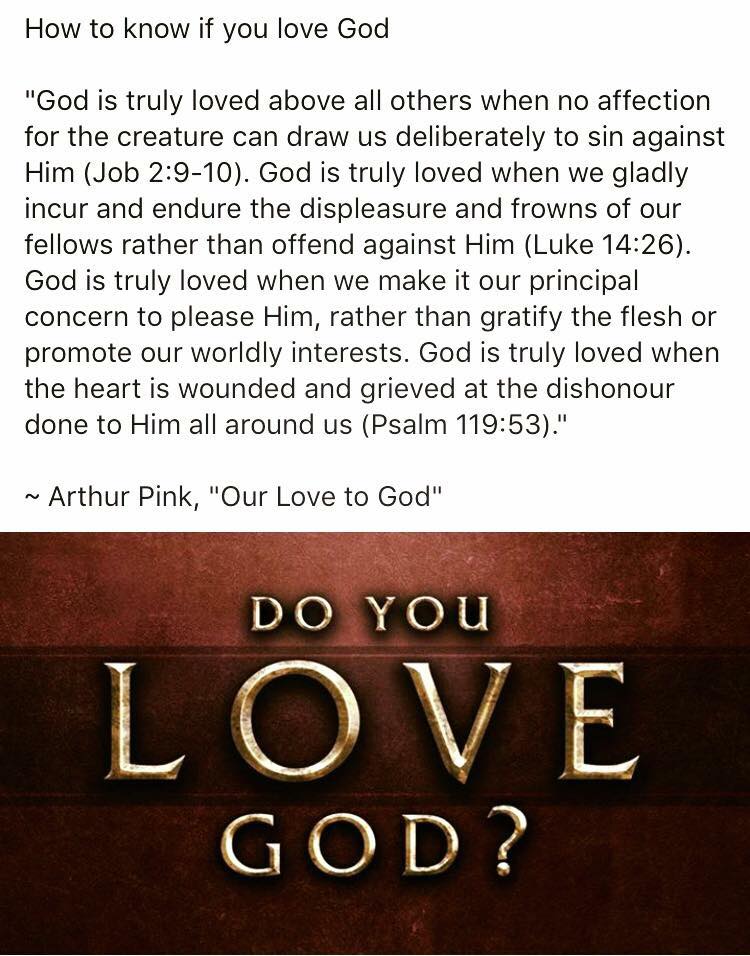 21743133_1404711812978758_6112008144784182697_n