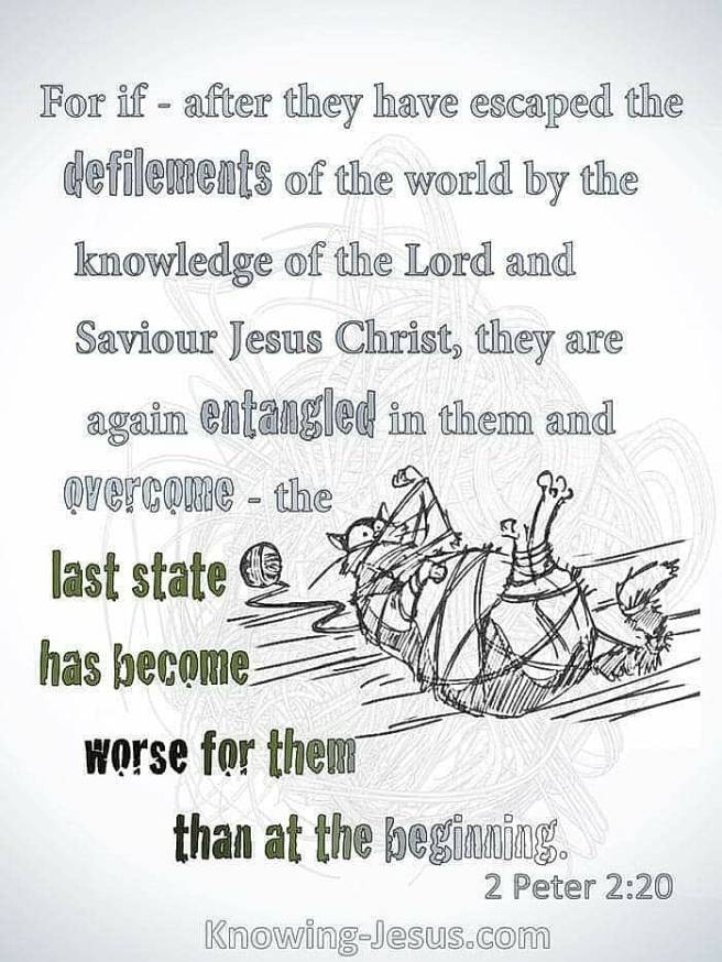 105381050_3682748208407309_1828345892447922174_n